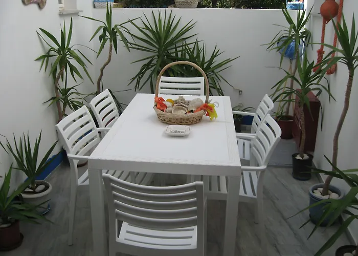 Augusta & * 나오우사