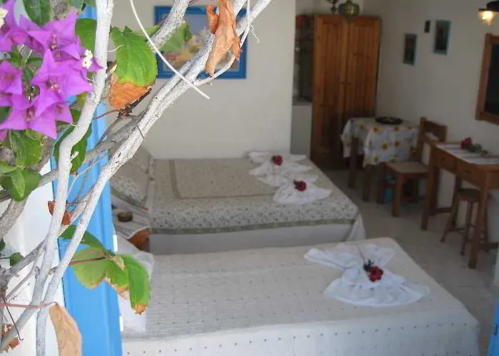 Augusta & 아파트 나오우사