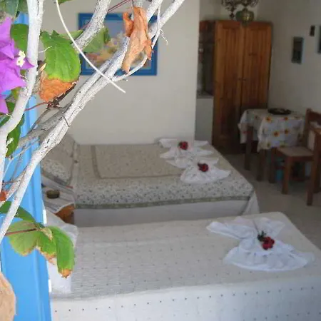 Augusta & Διαμέρισμα Νάουσα